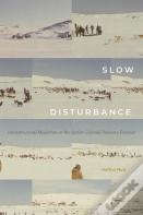 Slow Disturbance