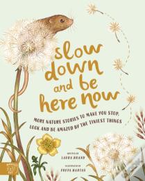 Slow Down And Be Here Now