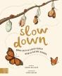 Slow Down - Preview