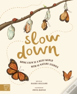 Capa do artigo Slow Down