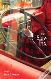 Capa do artigo Slow Fix