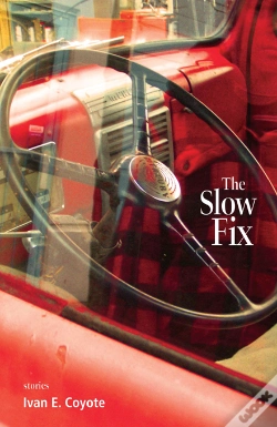 Capa do artigo Slow Fix