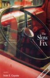 Capa do artigo Slow Fix