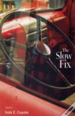 Capa do artigo Slow Fix
