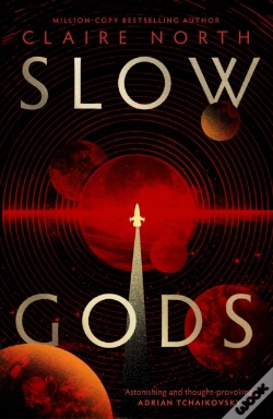 Capa do artigo Slow Gods