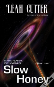 Capa do artigo Slow Honey