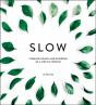Slow - Preview
