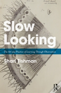 Capa do artigo Slow Looking