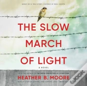 Capa do artigo Slow March Of Light