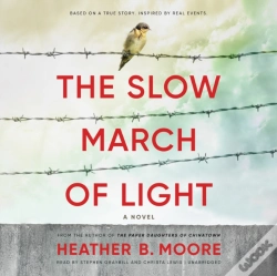 Capa do artigo Slow March Of Light
