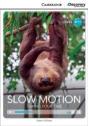 Slow Motion: Taking Your Time High Beginning Book With Online Access - Preview