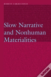 Slow Narrative And Nonhuman Materialities