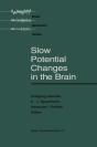 Slow Potential Changes In The Brain - Preview
