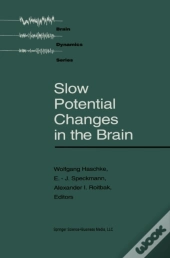 Slow Potential Changes In The Brain