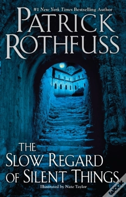Capa do artigo Slow Regard Of Silent Things