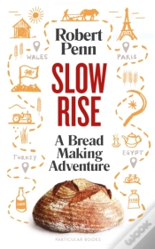 Capa do artigo Slow Rise