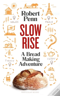 Capa do artigo Slow Rise