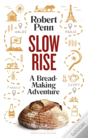 Capa do artigo Slow Rise