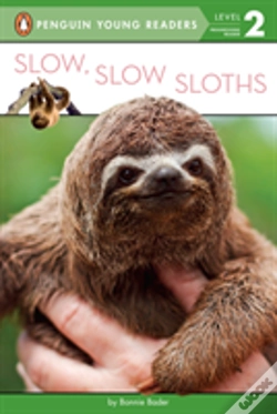 Capa do artigo Slow Slow Sloths