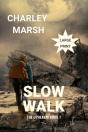 Slow Walk - Preview