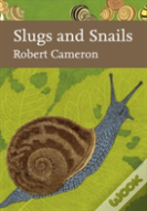 Slugs And Snails