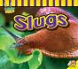 Slugs - Preview
