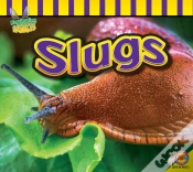 Capa do artigo Slugs