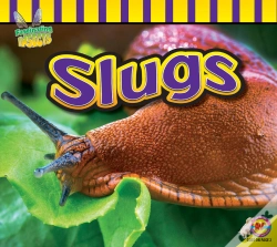 Capa do artigo Slugs