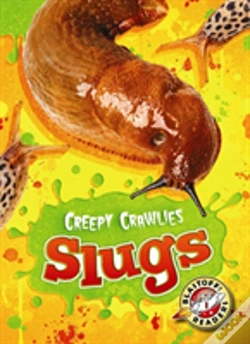 Capa do artigo Slugs