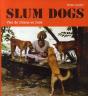 Slum Dogs ; Vies De Chiens En Inde - Preview