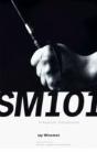 Sm 101: A Realistic Introduction - Preview