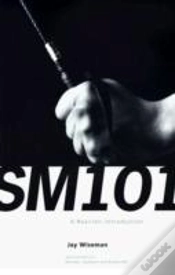 Capa do artigo Sm 101: A Realistic Introduction