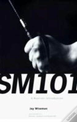 Capa do artigo Sm 101: A Realistic Introduction