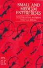 Small And Medium Enterprises - Preview