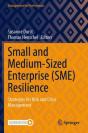 Small And Medium-Sized Enterprise (Sme) Resilience - Preview