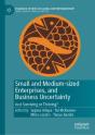 Small And Medium-Sized Enterprises, And Business Uncertainty - Preview