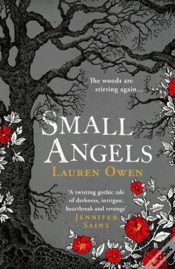Capa do artigo Small Angels