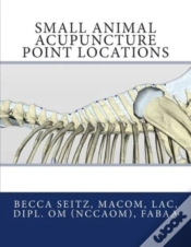 Capa do artigo Small Animal Acupuncture Point Locations