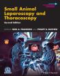 Small Animal Laparoscopy And Thoracoscopy - Preview