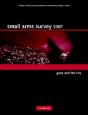 Small Arms Survey 2007 - Preview