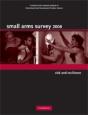 Small Arms Survey 2008 - Preview