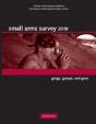 Small Arms Survey 2010 - Preview