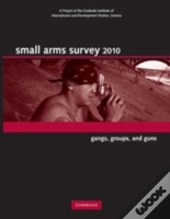 Small Arms Survey 2010