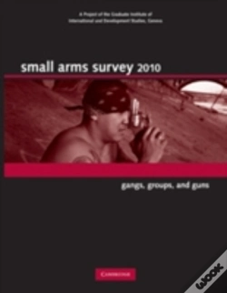 Capa do artigo Small Arms Survey 2010