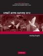 Small Arms Survey 2012 - Preview
