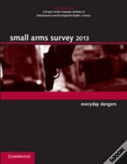 Capa do artigo Small Arms Survey 2013