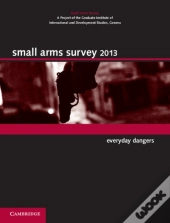 Small Arms Survey 2013