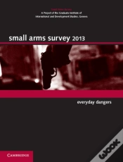 Capa do artigo Small Arms Survey 2013