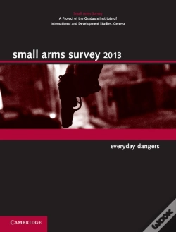 Capa do artigo Small Arms Survey 2013