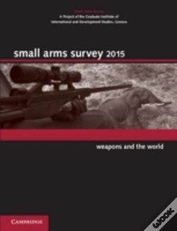 Capa do artigo Small Arms Survey 2015